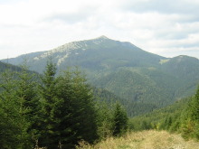 Doboshanka Mountain, trekking in the Carpathians, Ukraine